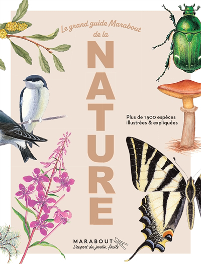 Grand guide Marabout de la nature : plus de 1.500 espèces illustrées & expliquées (Le) | 