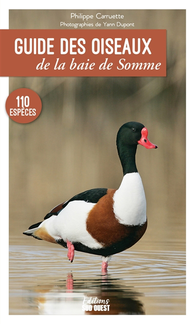 Guide des oiseaux de la baie de Somme : les connaître et les observer | Carruette, Philippe