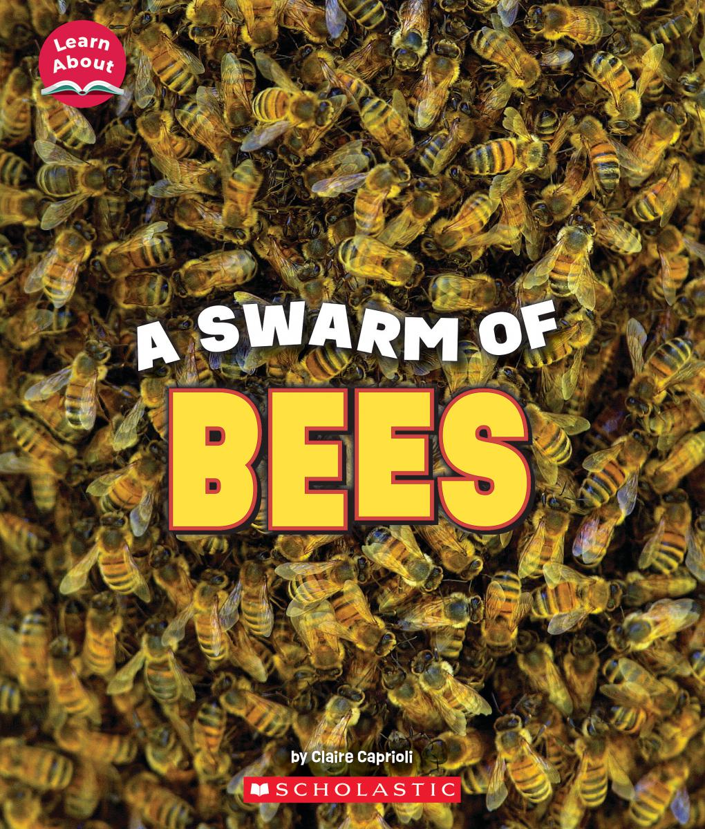 A Swarm of Bees (Learn About: Animals) | Caprioli, Claire