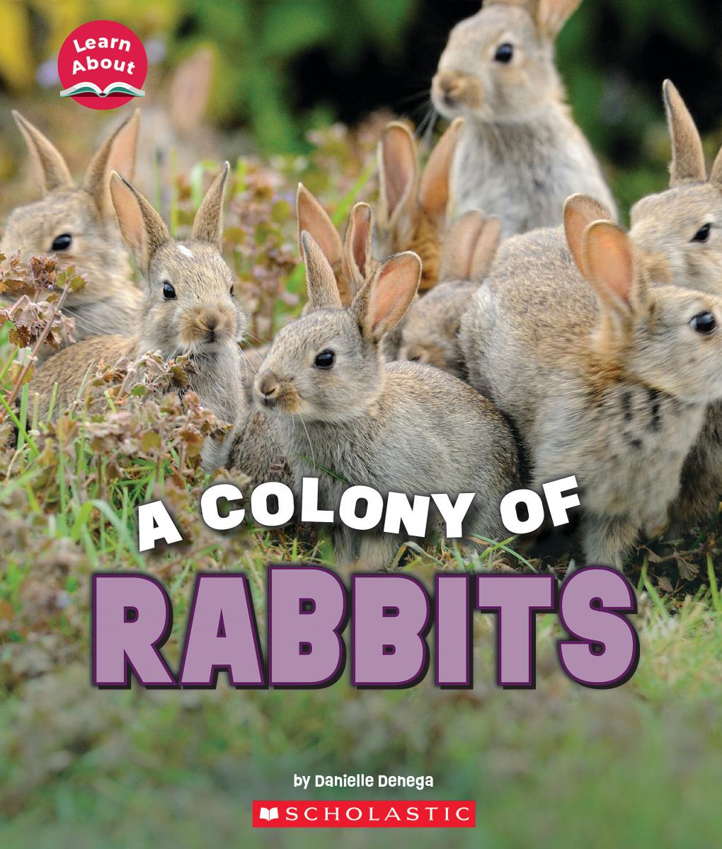 A Colony of Rabbits (Learn About: Animals) | Denega, Danielle