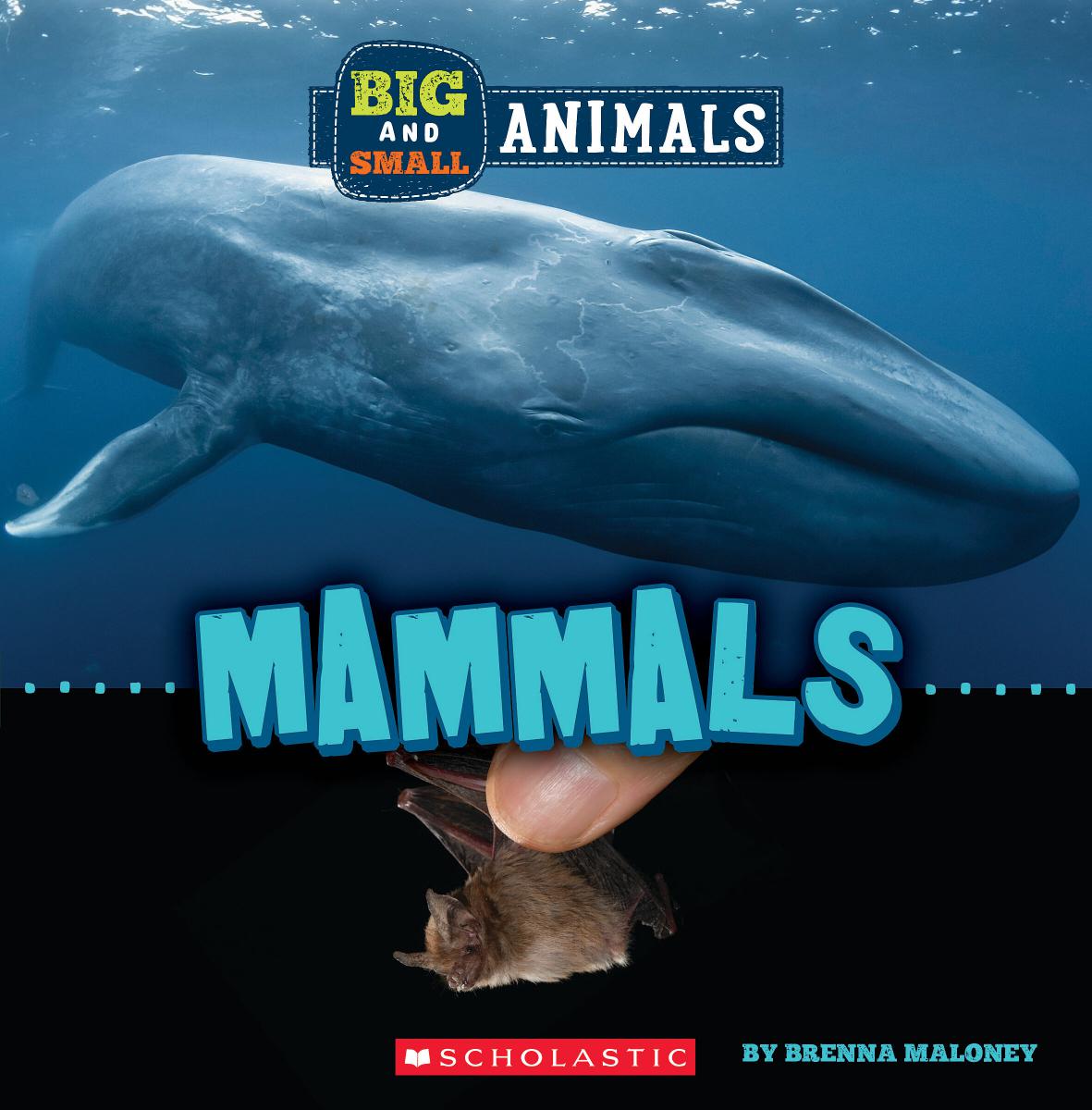 Mammals (Wild World: Big and Small Animals) | Maloney, Brenna