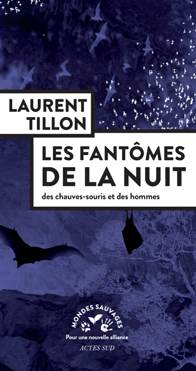fantômes de la nuit : des chauves-souris et des hommes (Les) | Tillon, Laurent