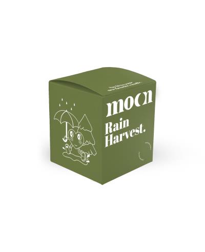 Moonday Chandelle - Rain Harvest | Cadeau