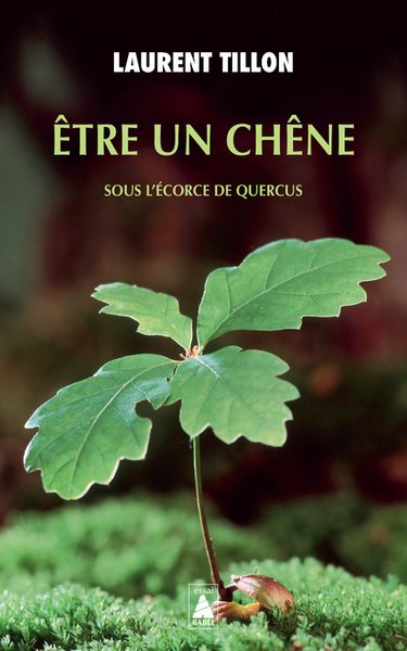 Etre un chêne : sous l'écorce de Quercus | Tillon, Laurent