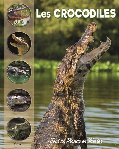 Tout un monde en photos - crocodiles et autres crocodiliens (Les) | Baillet, Christine