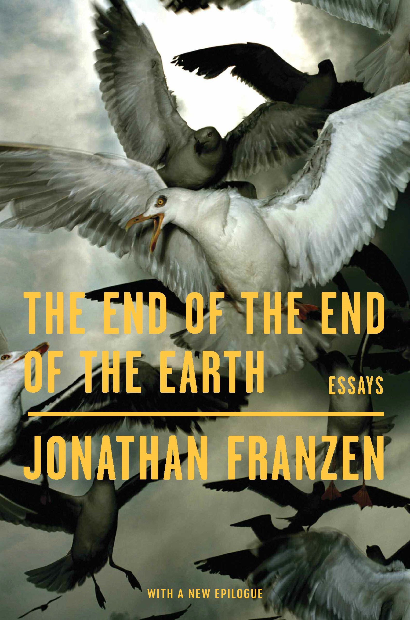 The End of the End of the Earth | Franzen, Jonathan