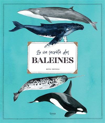 Vie secrète des baleines (La) | Ortega, Rena