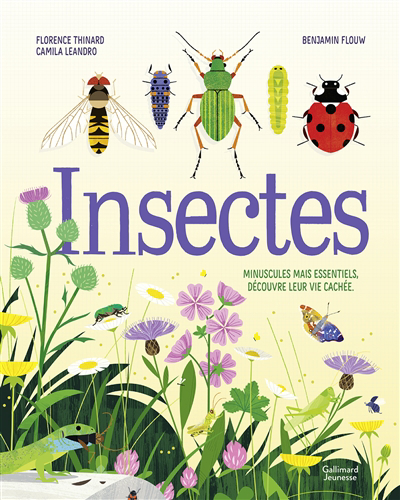 Insectes : minuscules mais essentiels, découvre leur vie cachée | Thinard, Florence