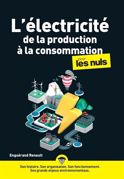 L'électricité, de la production à la consommation, pour les nuls | Renault, Enguérand
