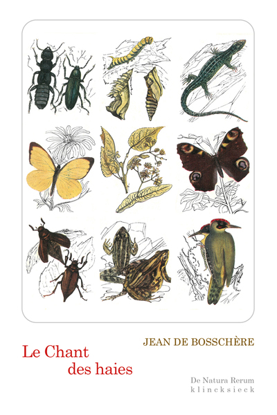 chant des haies : flore et faune des lisières (Le) | Bosschère, Jean de