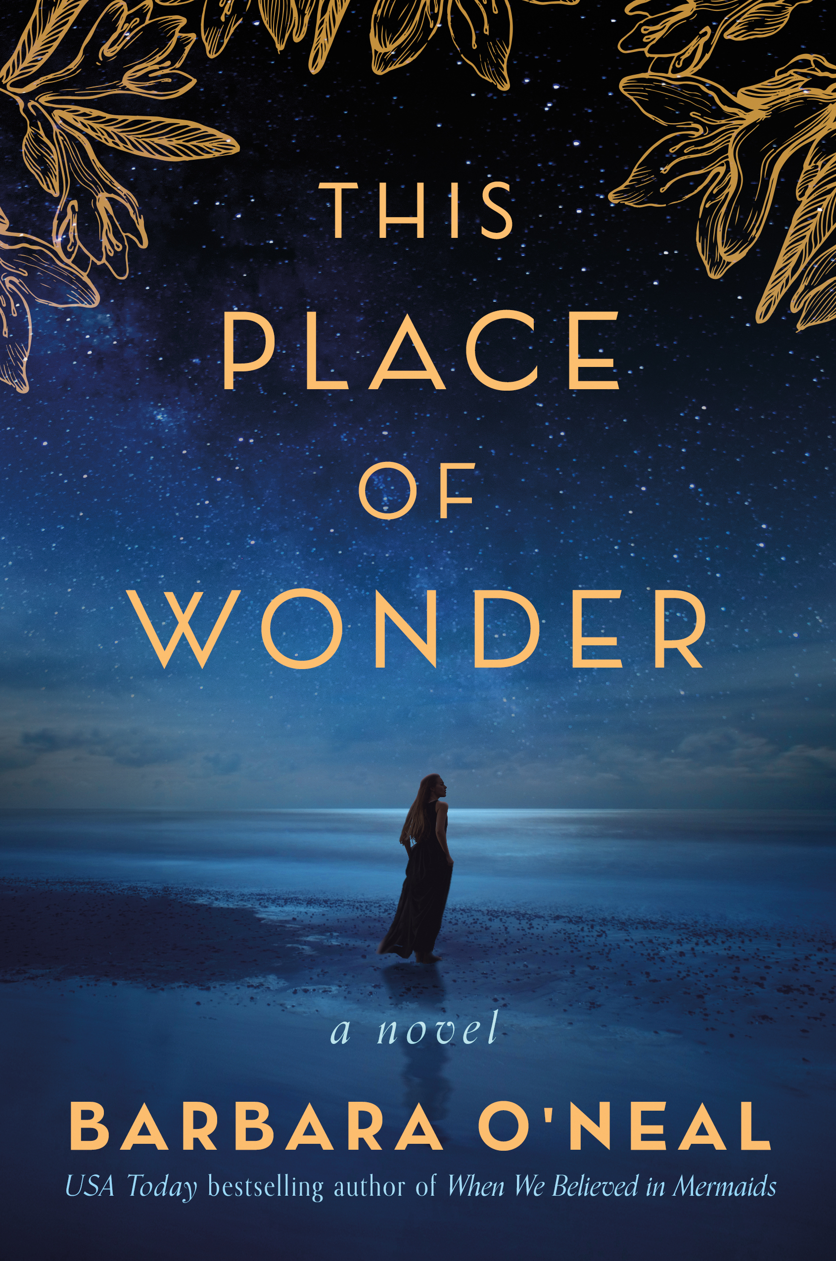 This Place of Wonder : A Novel | 