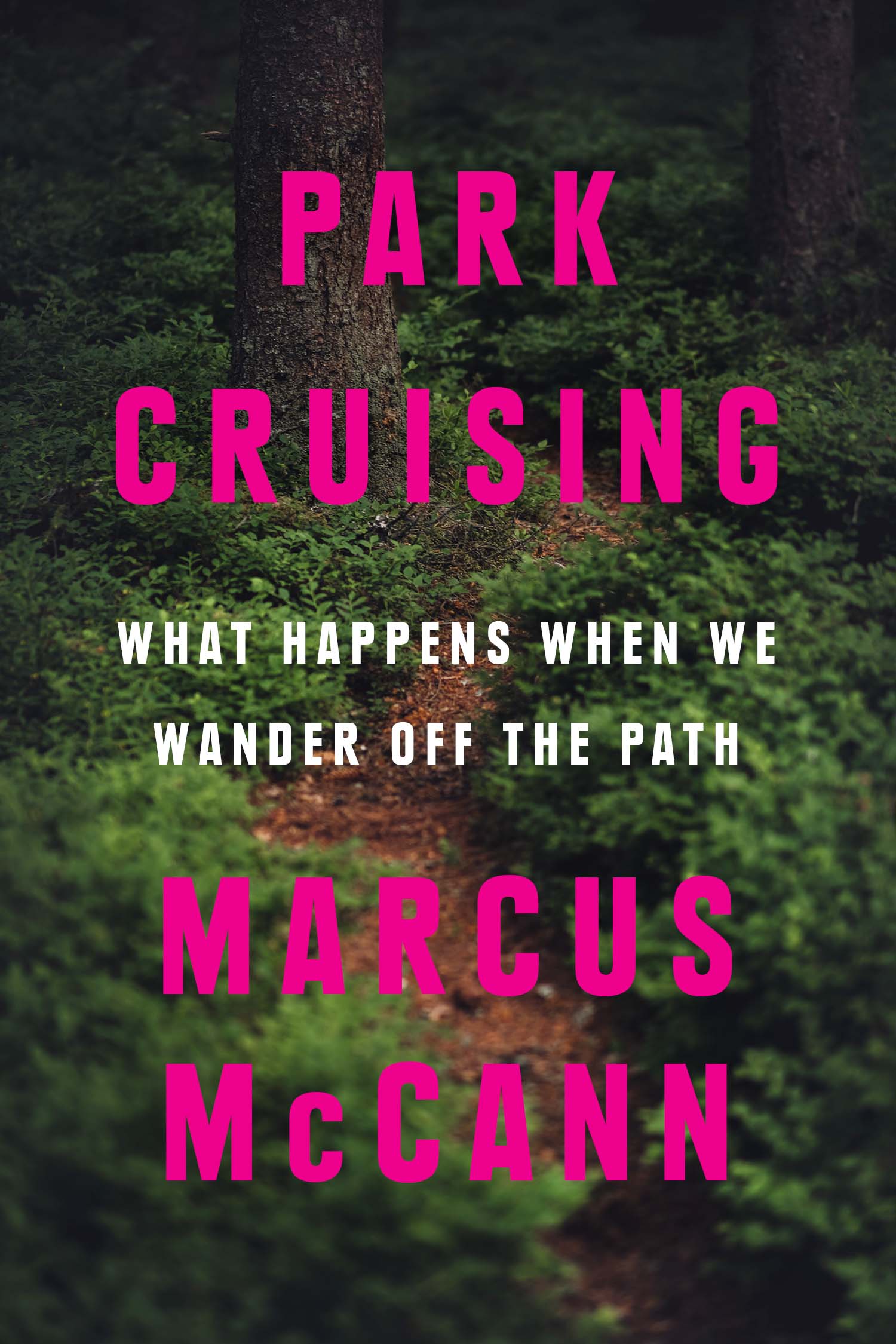 Park Cruising : What Happens When We Wander Off the Path | McCann, Marcus