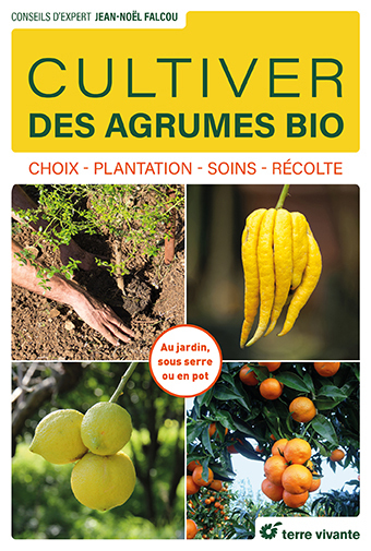 Cultiver des agrumes bio : choix, plantation, soins, récolte : au jardin, sous serre ou en pot | Falcou, Jean-Noël