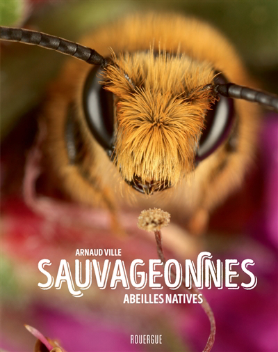 Sauvageonnes : abeilles natives | Ville, Arnaud