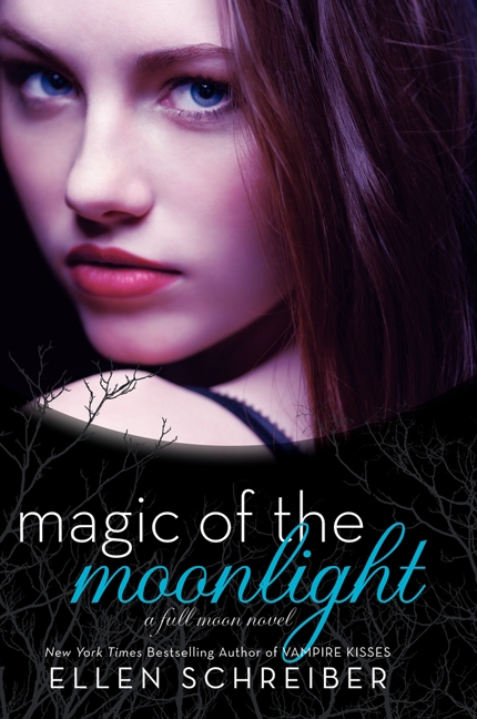 Magic of the Moonlight 2 | Schreiber, Ellen