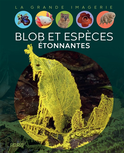 La grande imagerie - Blob et espèces étonnantes | Ternois, Manon