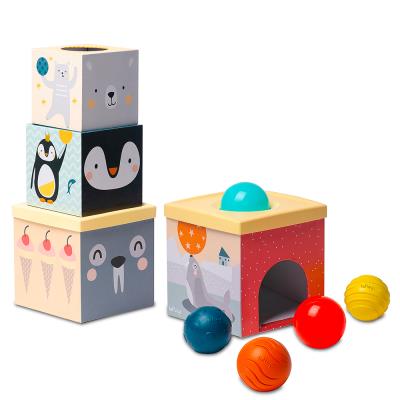 Taf Toys - Balles et Cubes Pôle Nord  | Logique