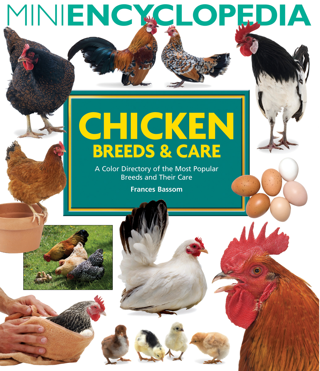 Mini Encyclopedia of Chicken Breeds and Care : A Color Directory of the Most Popular Breeds and Their Care | 