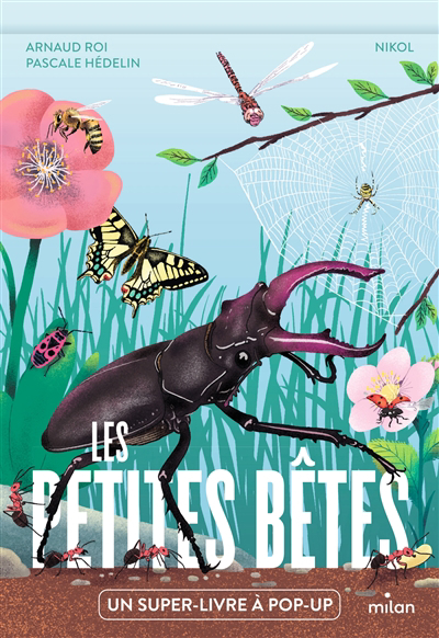 petites bêtes : un super livre à pop-up (Les) | Roi, Arnaud