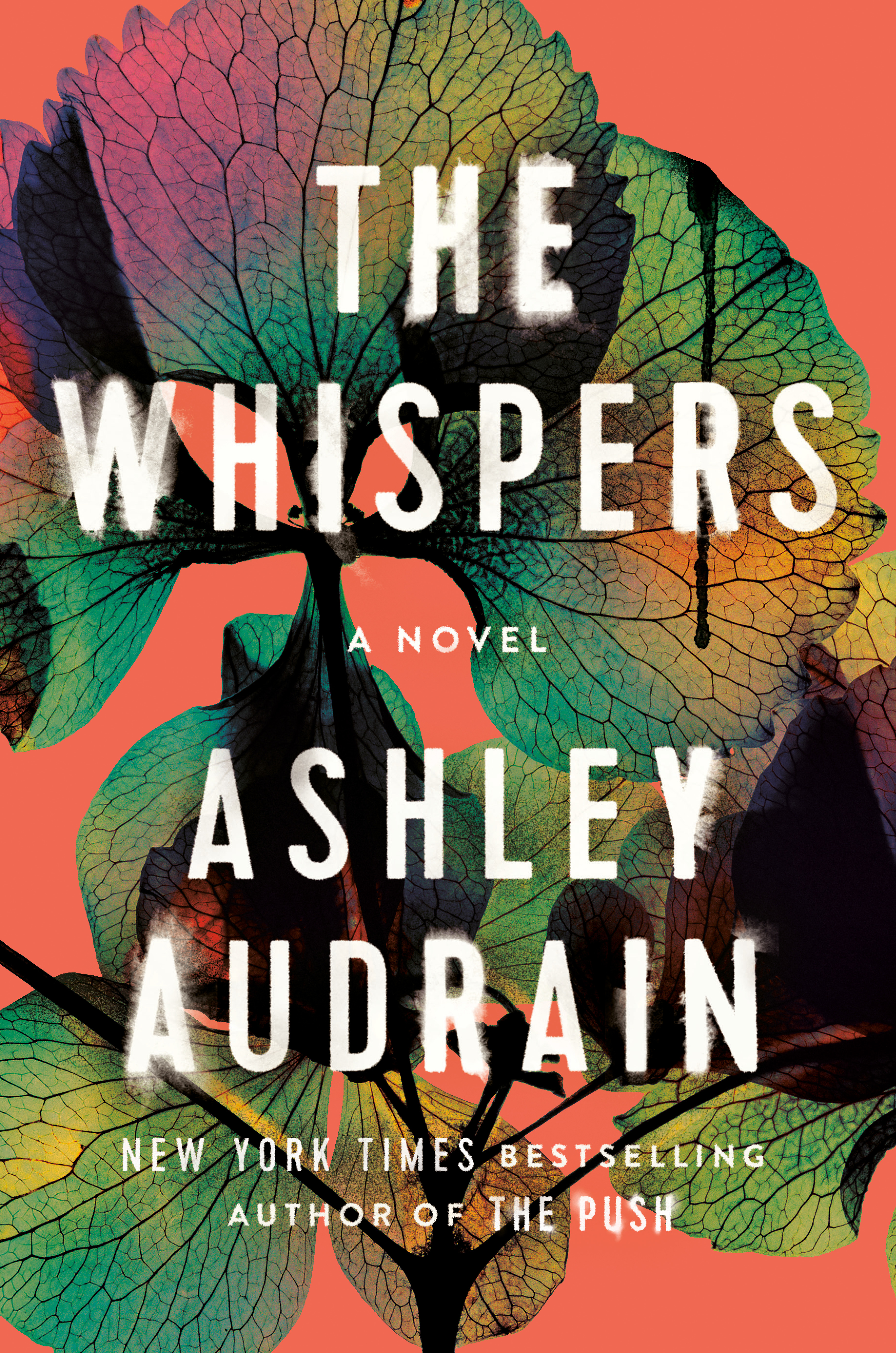 The Whispers : A Novel | Audrain, Ashley