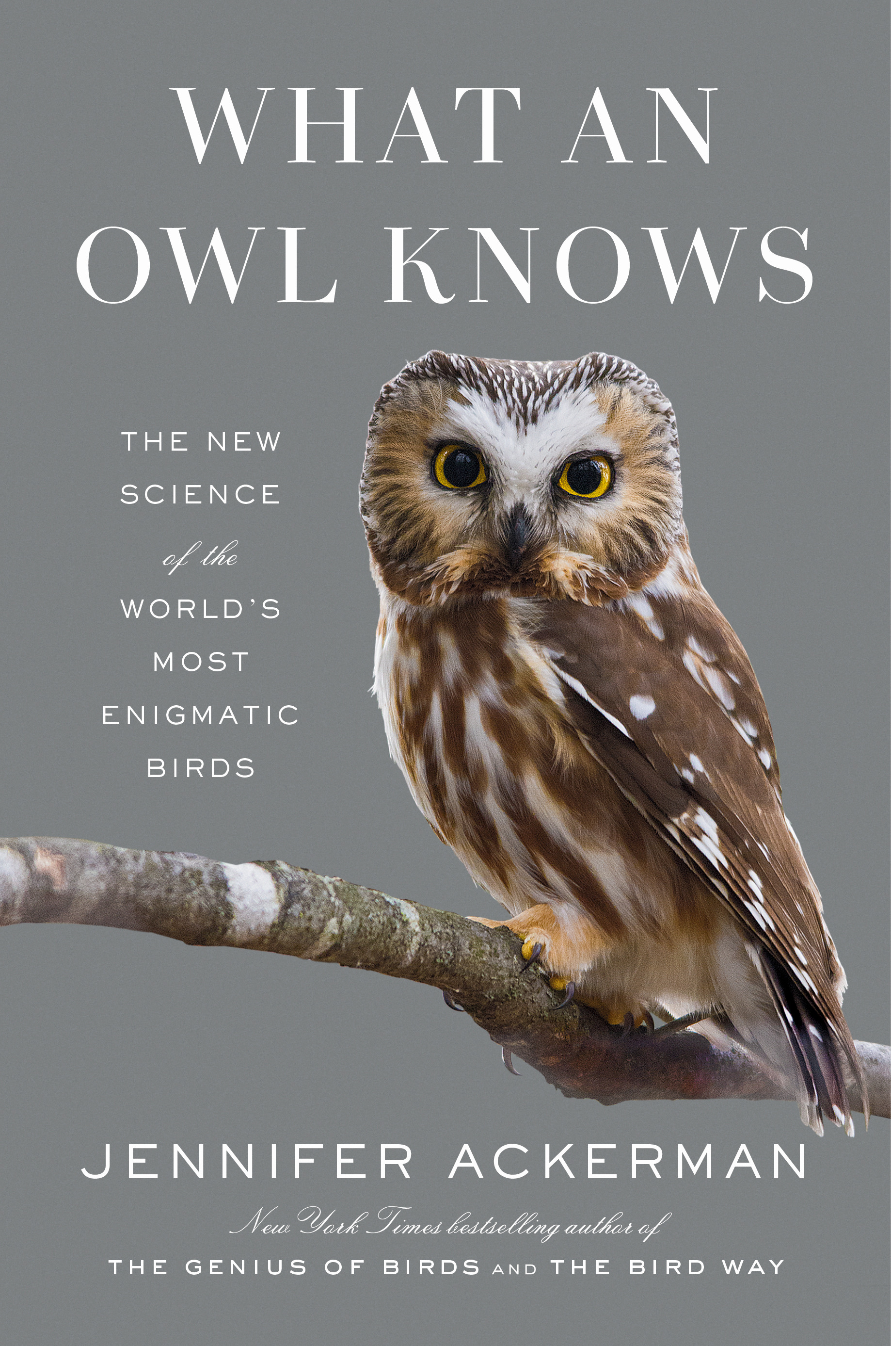 What an Owl Knows : The New Science of the World's Most Enigmatic Birds | Ackerman, Jennifer