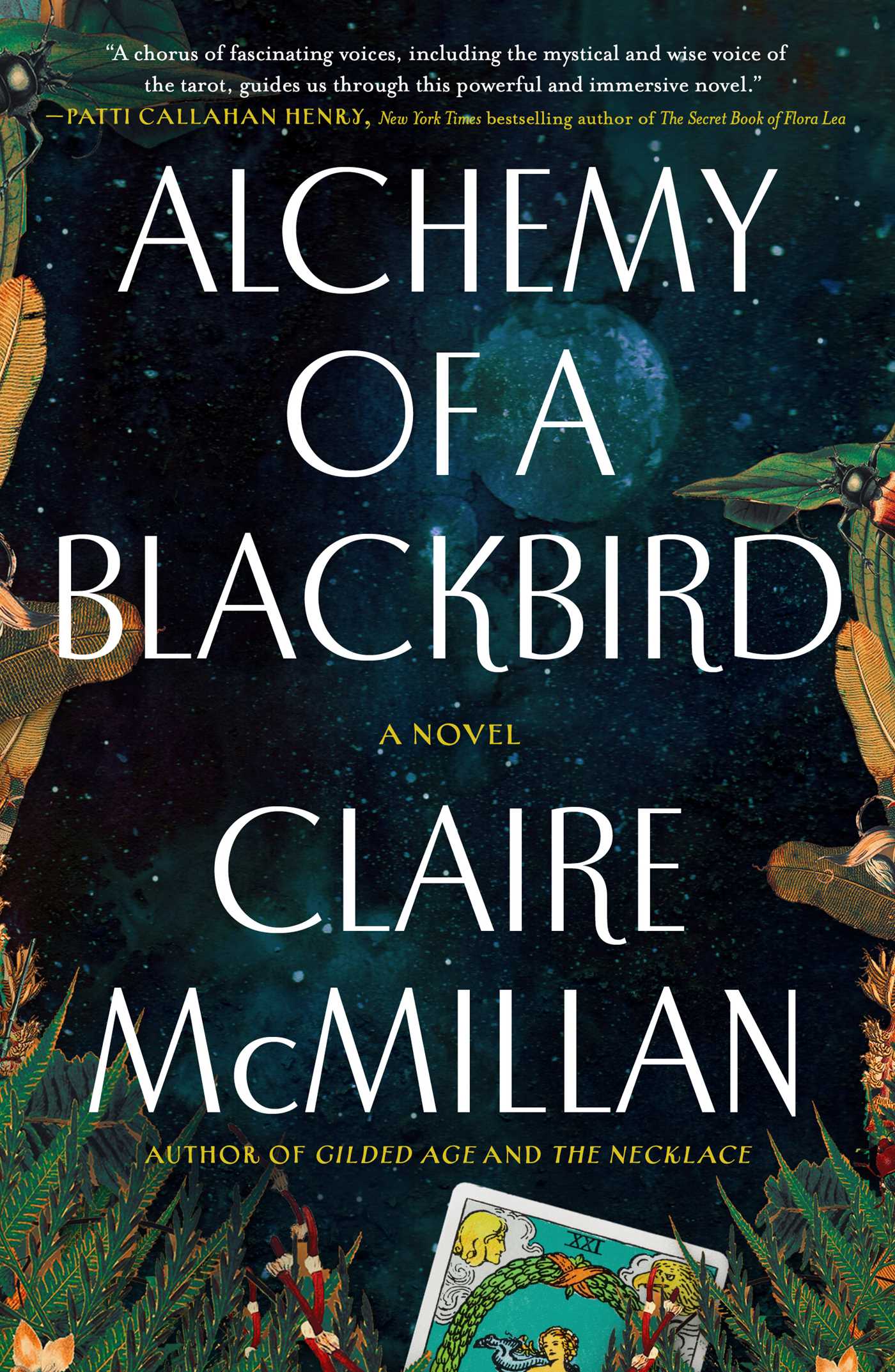 Alchemy of a Blackbird : A Novel | McMillan, Claire