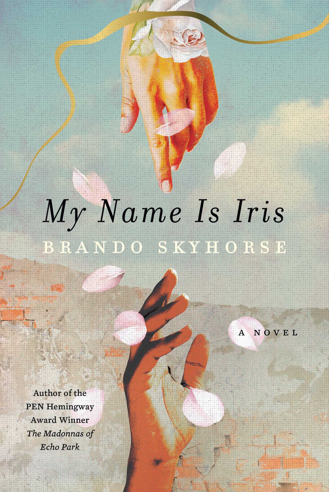 My Name Is Iris : A Novel | Skyhorse, Brando