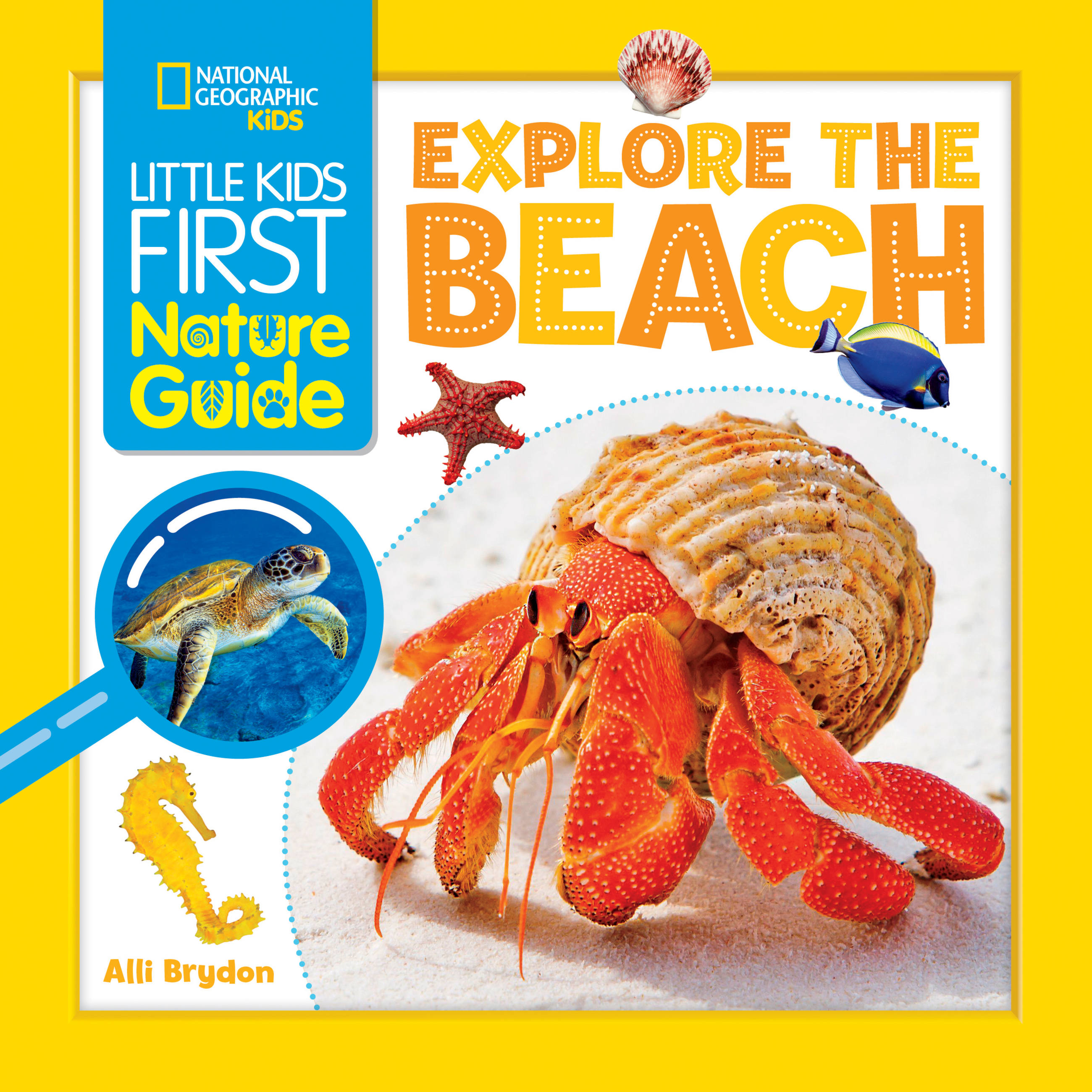 Little Kids First Nature Guide: Explore the Beach | Brydon, Alli