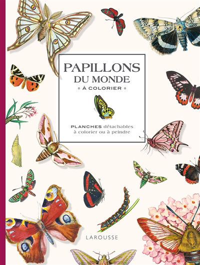 Papillons du monde à colorier : planches détachables à colorier ou à peindre | 
