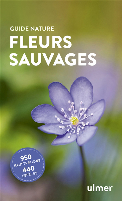 Fleurs sauvages : 950 illustrations, 440 espèces | Kremer, Bruno P.