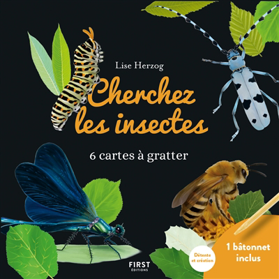 Cherchez les insectes : 6 cartes à gratter | Herzog, Lise