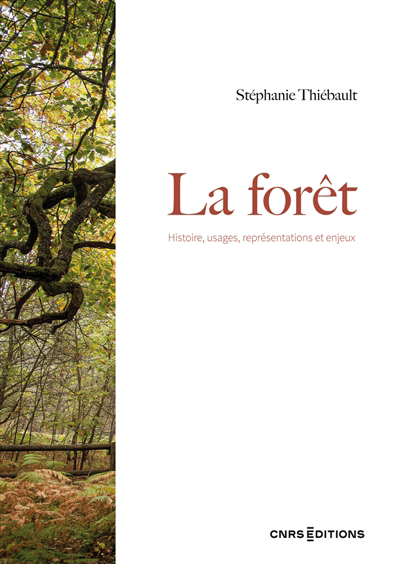 forêt : histoire, usages, représentations et enjeux (La) | Thiébault, Stéphanie