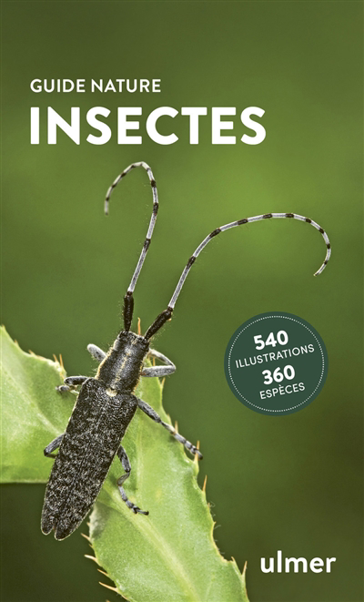 Insectes : 540 illustrations, 360 espèces | Bellmann, Heiko