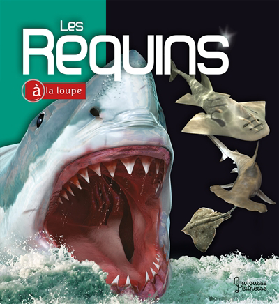 Requins (Les) | McMillan, Beverly C.