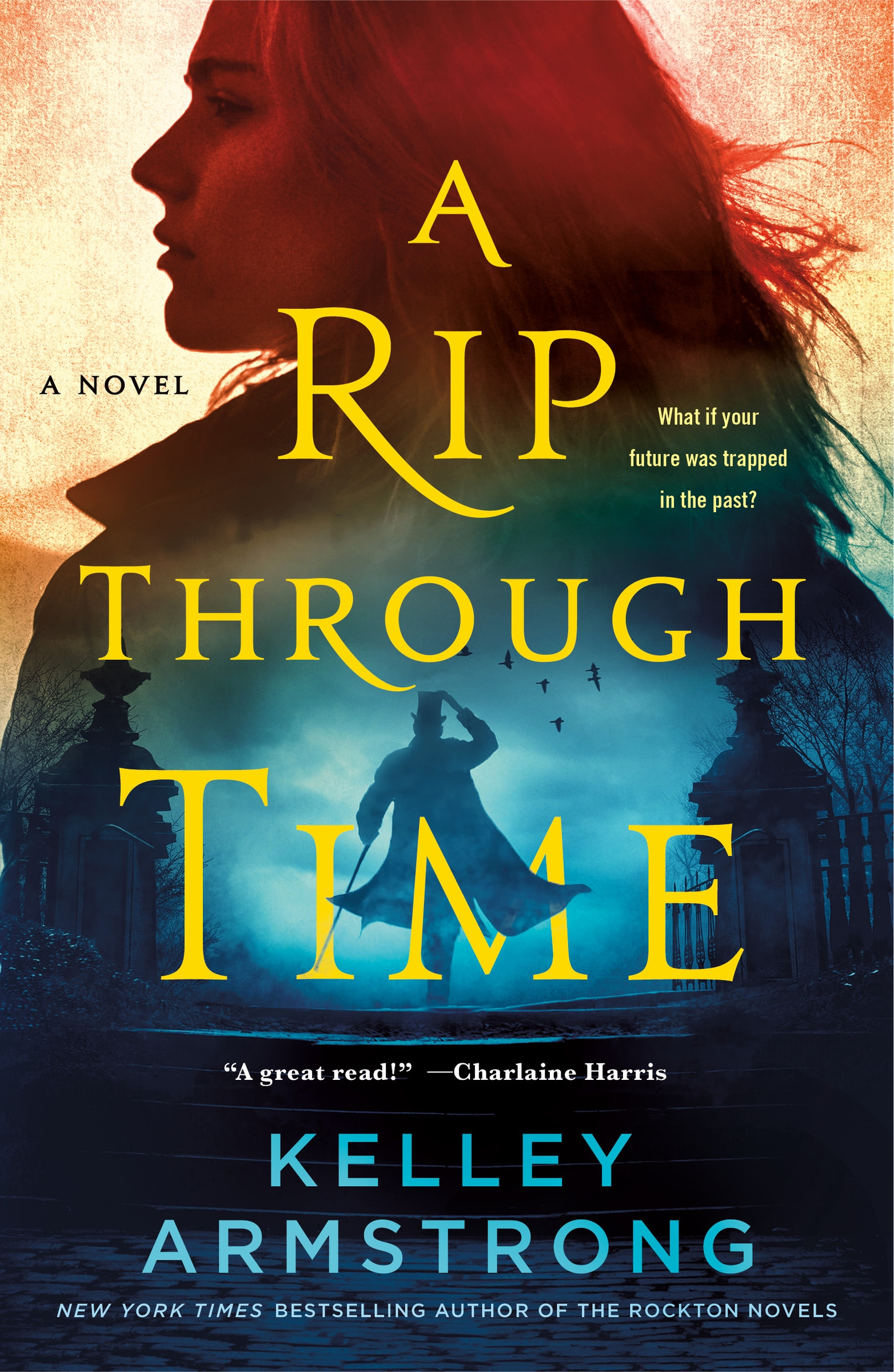 A Rip Through Time : A Novel | Armstrong, Kelley