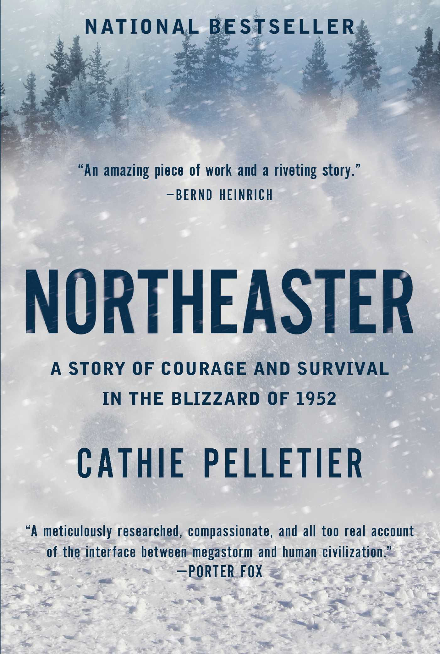 Northeaster : A Story of Courage and Survival in the Blizzard of 1952 | Pelletier, Cathie