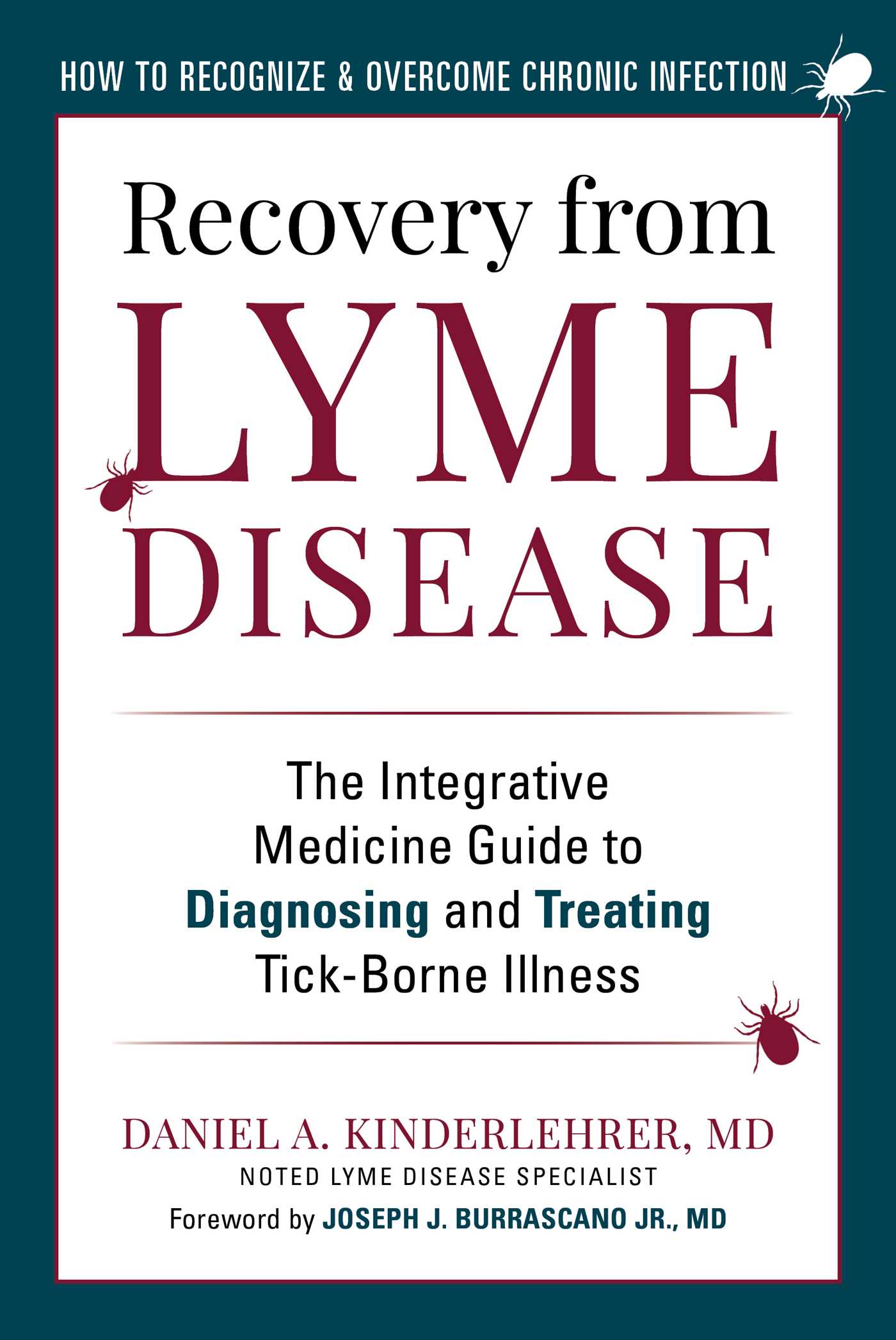 Recovery from Lyme Disease : The Integrative Medicine Guide to Diagnosing and Treating Tick-Borne Illness | Kinderlehrer, Daniel A.
