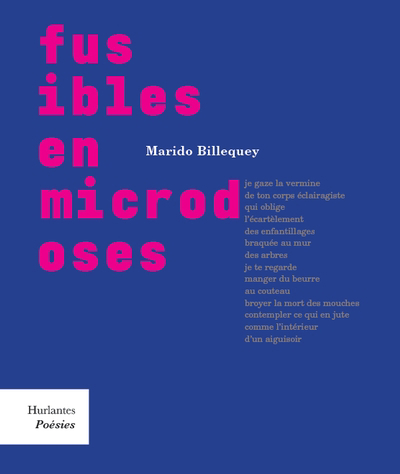 Fusibles en microdoses | Billequey, Marido (Auteur)