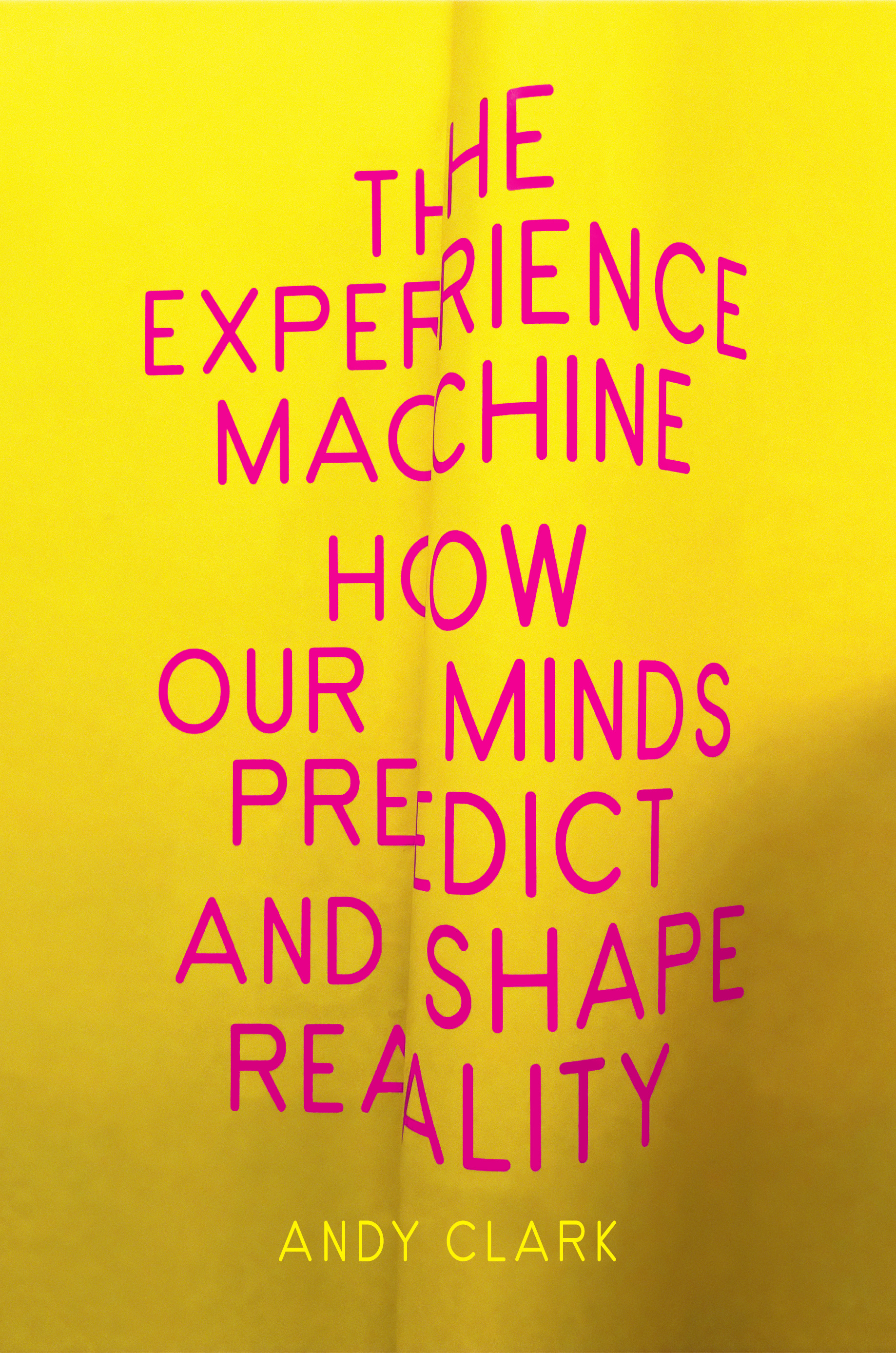 The Experience Machine : How Our Minds Predict and Shape Reality | Clark, Andy (Auteur)