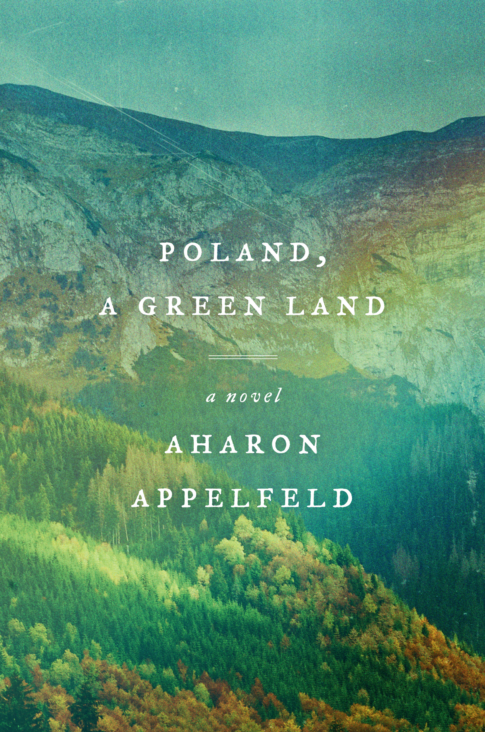 Poland, a Green Land : A Novel | Appelfeld, Aharon (Auteur)