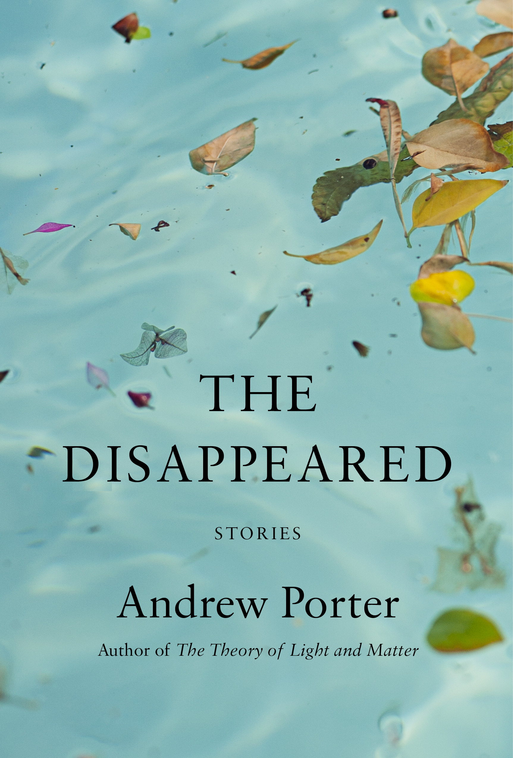 The Disappeared : Stories | Porter, Andrew (Auteur)