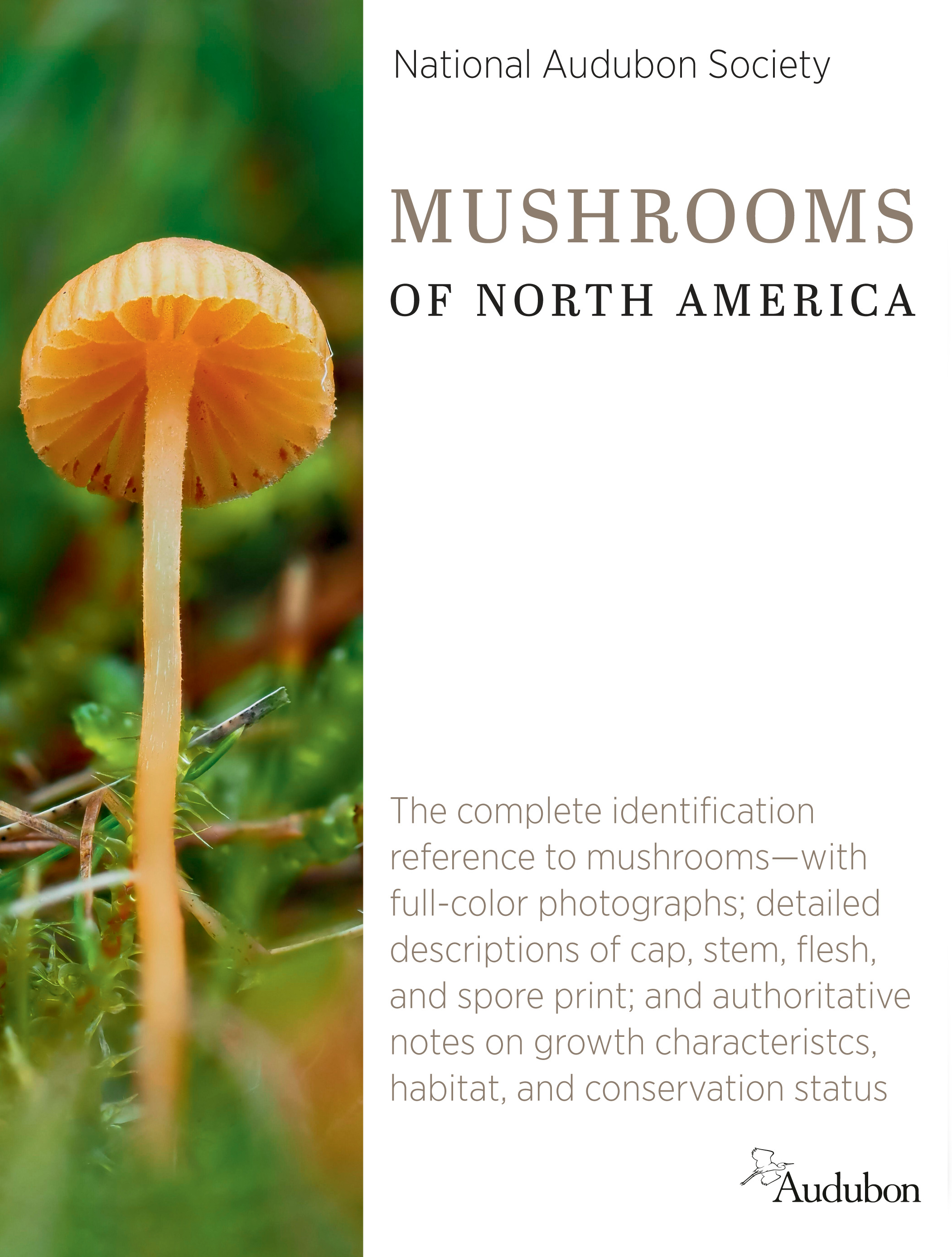 National Audubon Society Mushrooms of North America | 