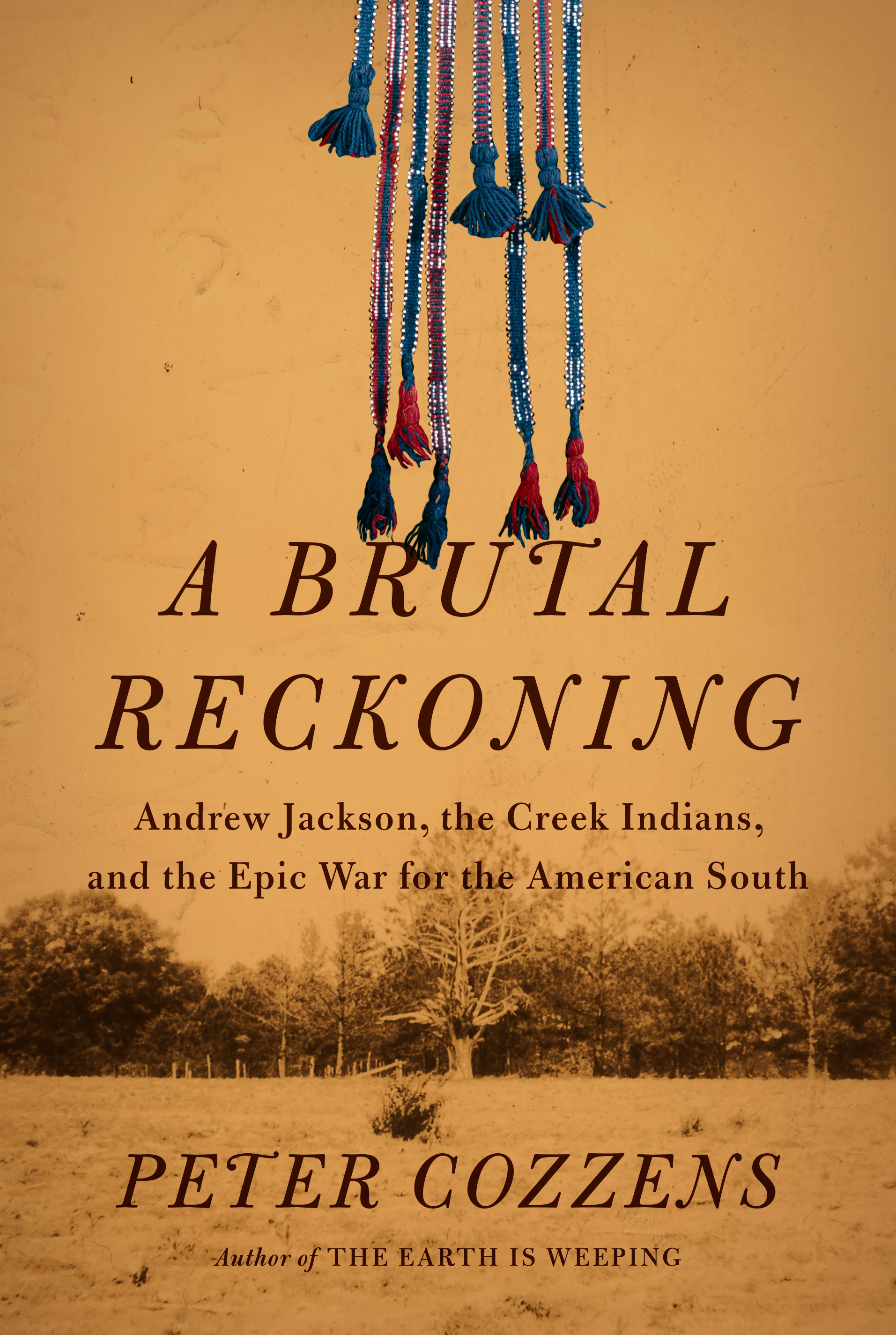 A Brutal Reckoning : Andrew Jackson, the Creek Indians, and the Epic War for the American South | Cozzens, Peter (Auteur)