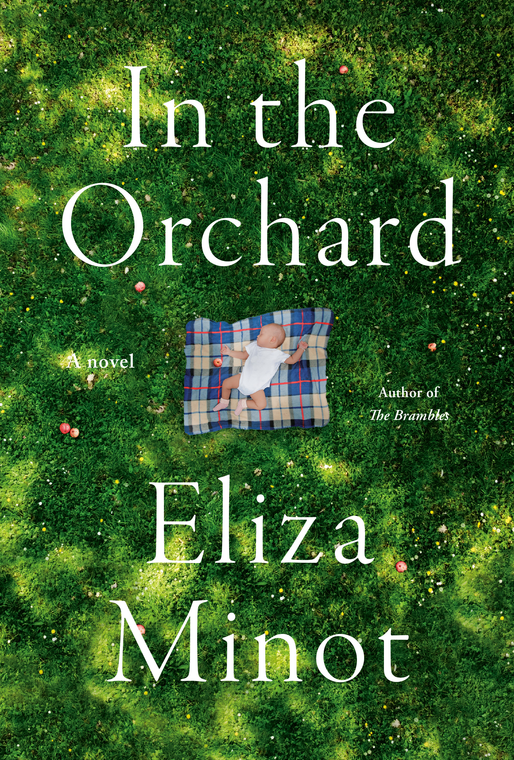 In the Orchard : A novel | Minot, Eliza (Auteur)