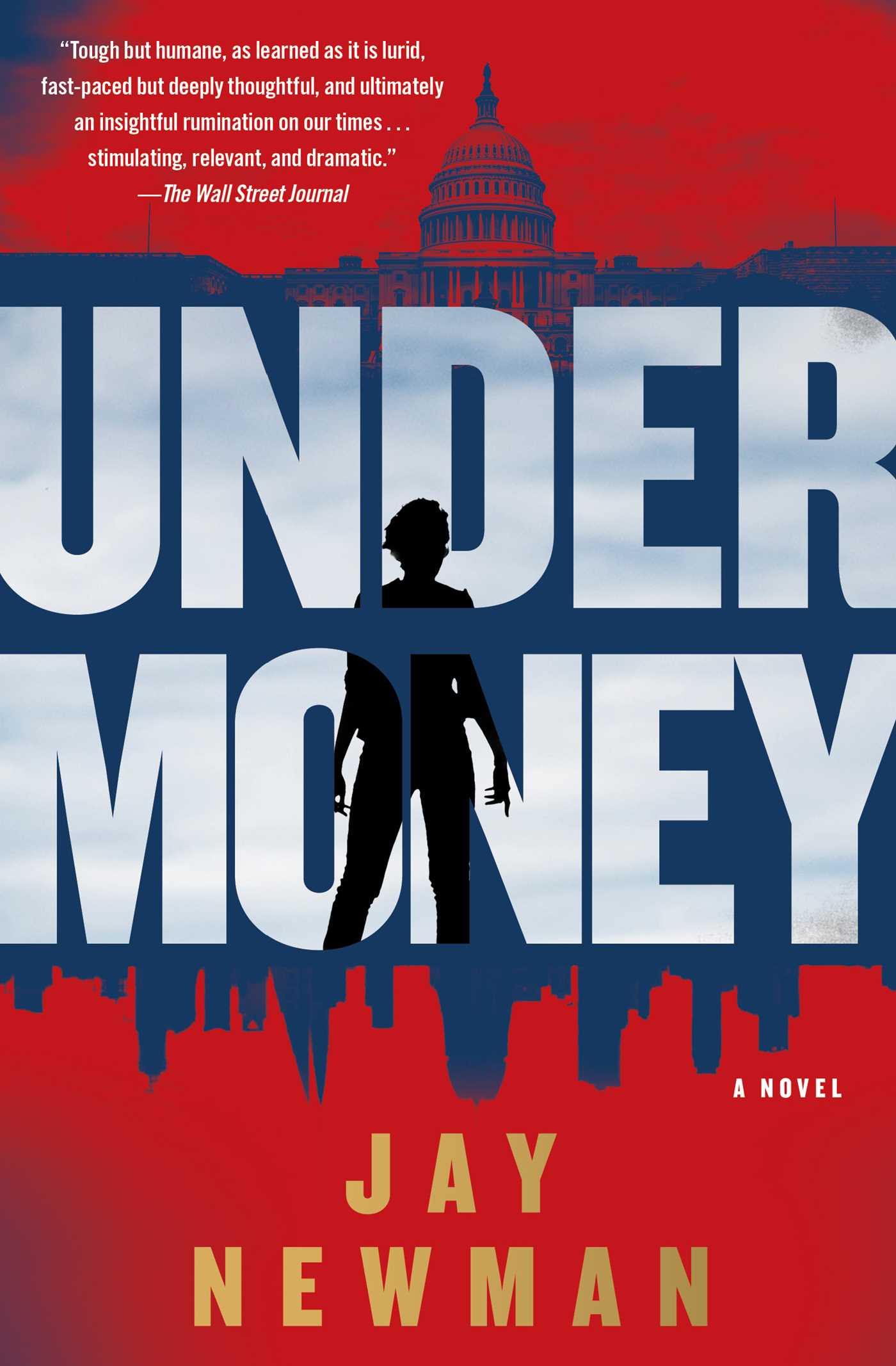 Undermoney : A Novel | Newman, Jay (Auteur)