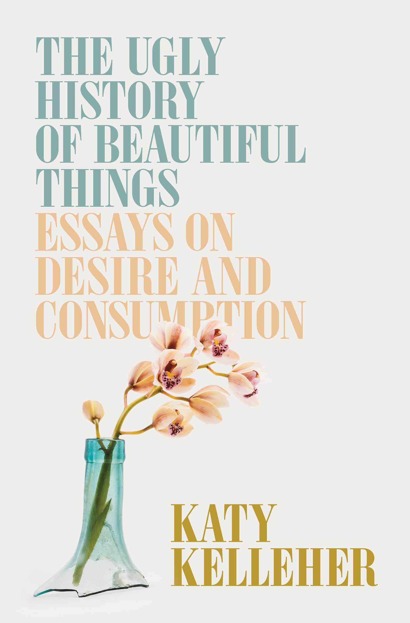 The Ugly History of Beautiful Things : Essays on Desire and Consumption | Kelleher, Katy (Auteur)