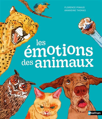 émotions des animaux (Les) | Pinaud, Florence (Auteur) | Thomas, Amandine (Illustrateur)