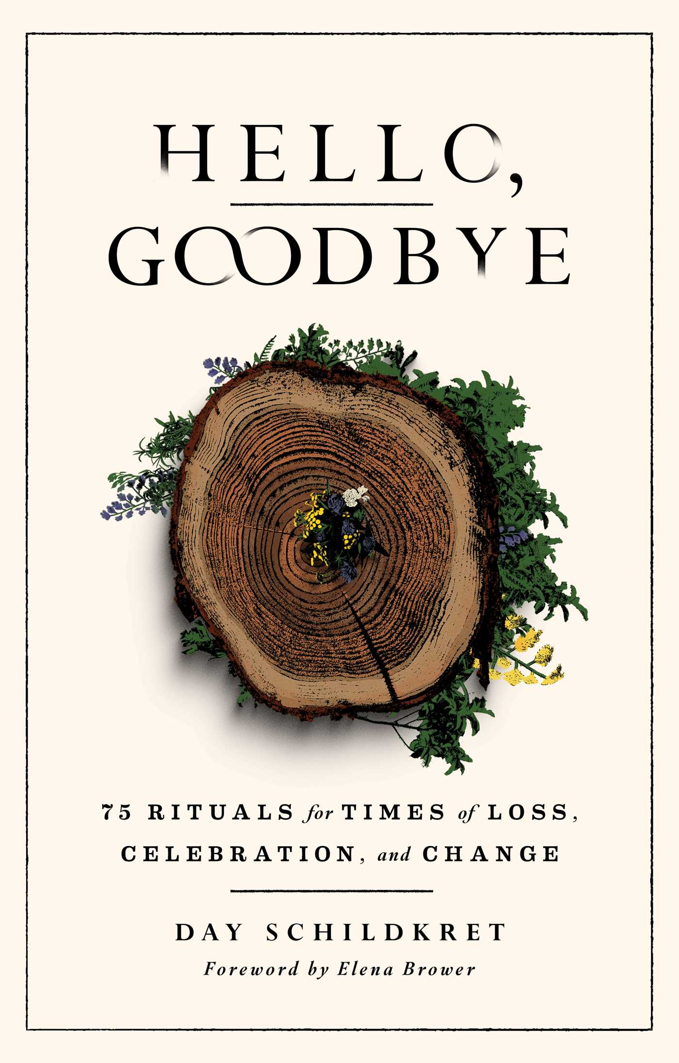 Hello, Goodbye : 75 Rituals for Times of Loss, Celebration, and Change | Schildkret, Day (Auteur)