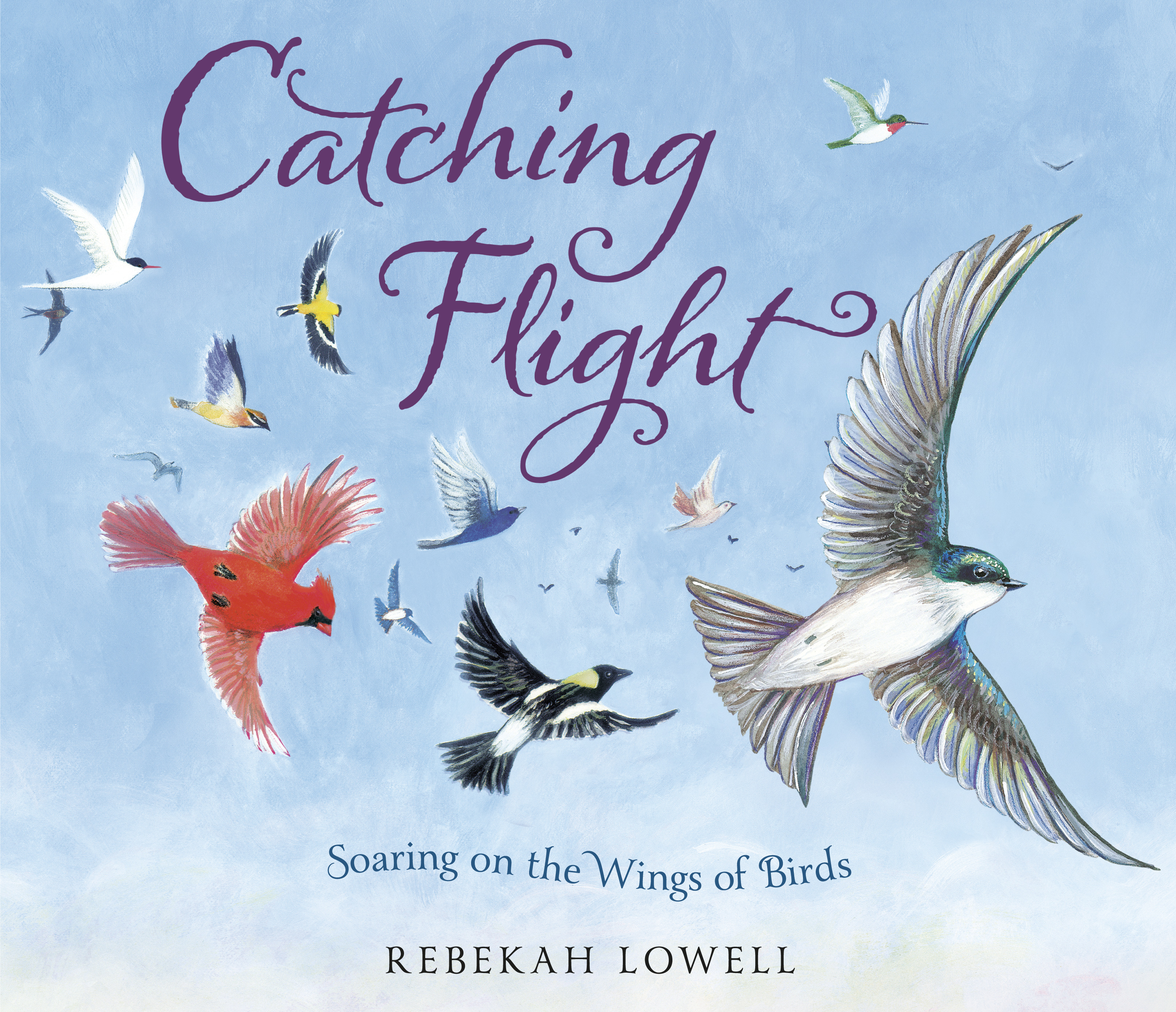 Catching Flight : Soaring on the Wings of Birds | Lowell, Rebekah (Auteur)