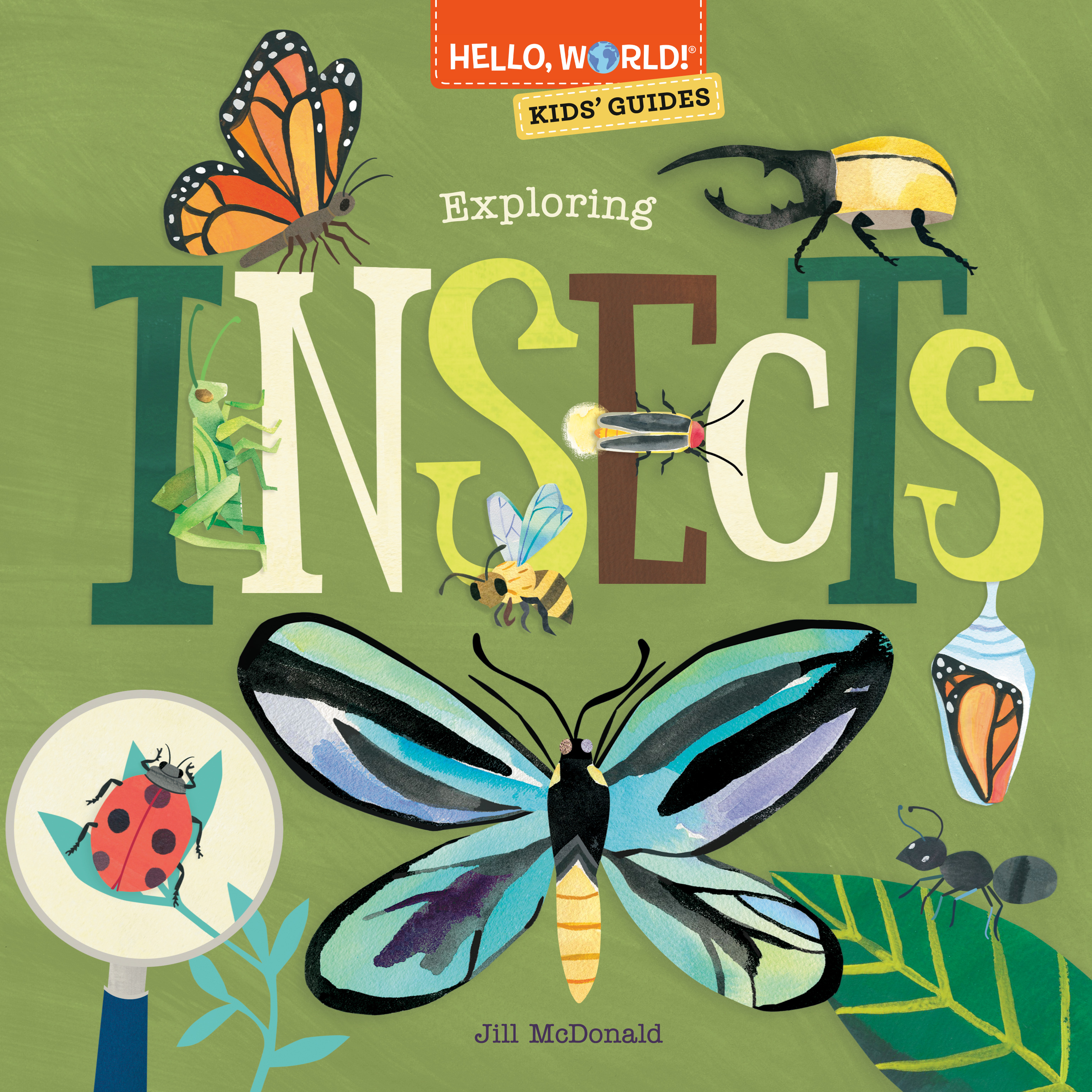 Hello, World! Kids' Guides: Exploring Insects | McDonald, Jill (Auteur)